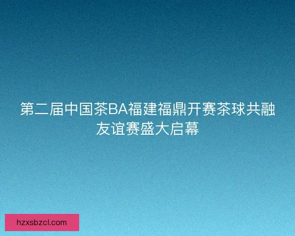 第二届中国茶BA福建福鼎开赛茶球共融友谊赛盛大启幕